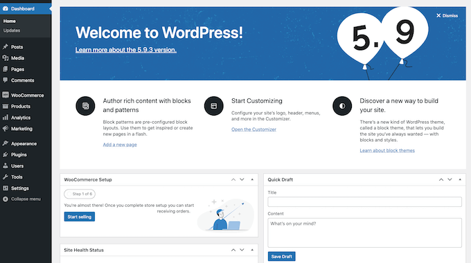 The WordPress admin dashboard